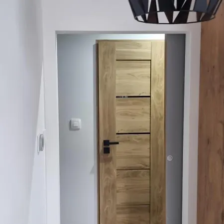 Luxloft Z Garazem Apartment